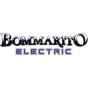 Hamilton, Ontario, Canada agency Birkdale Partners helped Bommarito Electric grow their business with SEO and digital marketing